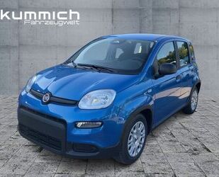 Fiat Panda Gebrauchtwagen