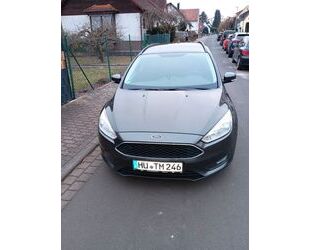 Ford Focus Gebrauchtwagen