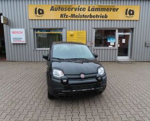 Fiat Panda Gebrauchtwagen