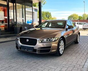 Jaguar XE Gebrauchtwagen