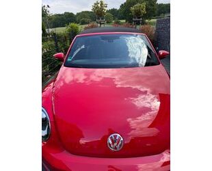 VW Beetle Gebrauchtwagen