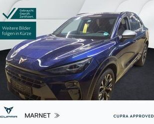 Cupra Terramar Gebrauchtwagen