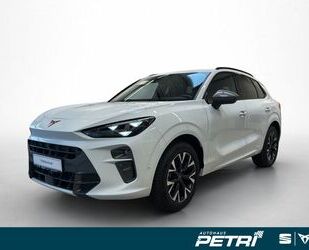 Cupra Terramar Gebrauchtwagen