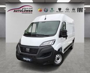 Fiat Ducato Gebrauchtwagen