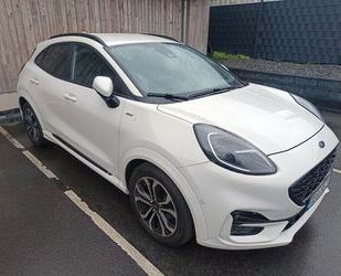 Ford Puma Gebrauchtwagen