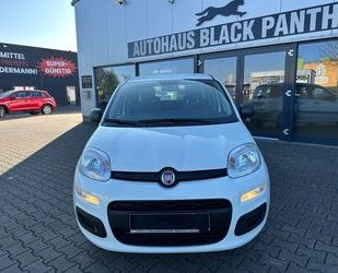 Fiat Panda Gebrauchtwagen