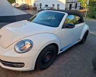 VW Beetle Gebrauchtwagen