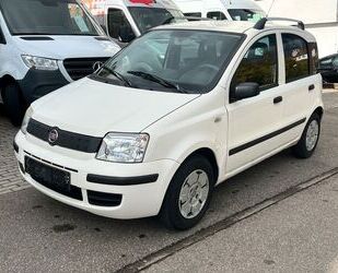 Fiat Panda Gebrauchtwagen