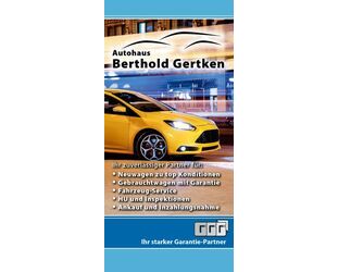 Ford Transit Gebrauchtwagen
