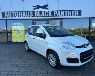 Fiat Panda Gebrauchtwagen