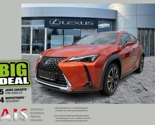 Lexus UX Gebrauchtwagen