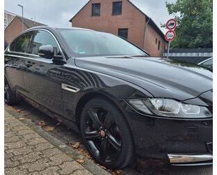Jaguar XF Gebrauchtwagen