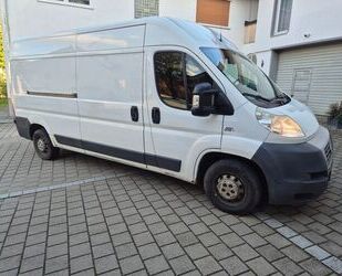Fiat Ducato Gebrauchtwagen