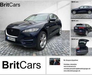 Jaguar F-Pace Gebrauchtwagen