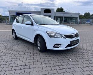 Kia ceed / Ceed Gebrauchtwagen