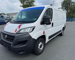 Fiat Ducato Gebrauchtwagen