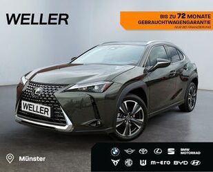 Lexus UX Gebrauchtwagen