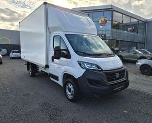 Fiat Ducato Gebrauchtwagen