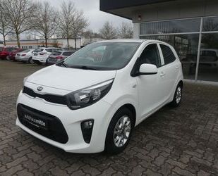 Kia Picanto Gebrauchtwagen