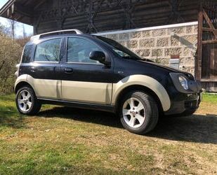Fiat New Panda Gebrauchtwagen