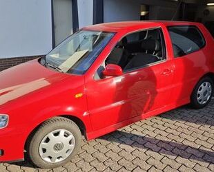 VW Polo Gebrauchtwagen
