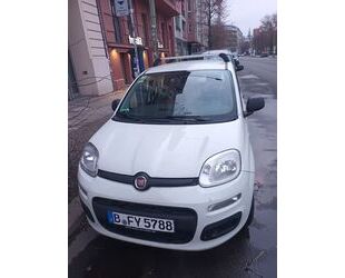 Fiat New Panda Gebrauchtwagen