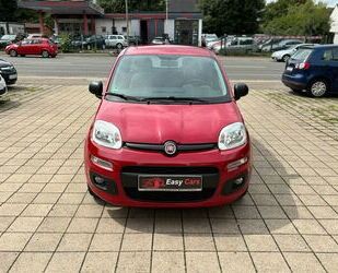 Fiat Panda Gebrauchtwagen