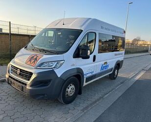 Fiat Ducato Gebrauchtwagen