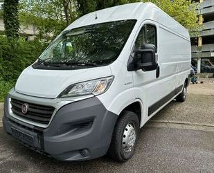 Fiat Ducato Gebrauchtwagen