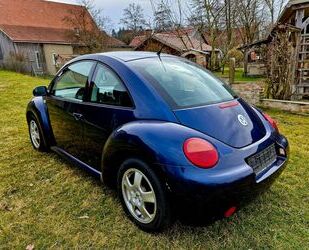 VW Beetle 