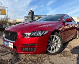 Jaguar XE Gebrauchtwagen