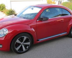 VW Beetle Gebrauchtwagen