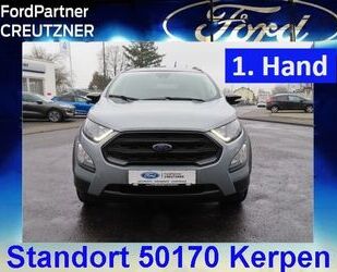 Ford EcoSport Gebrauchtwagen