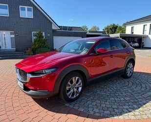 Mazda CX-30 Gebrauchtwagen