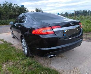 Jaguar XF Gebrauchtwagen