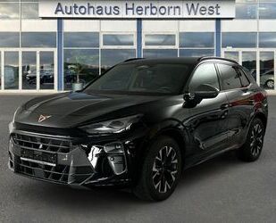 Cupra Terramar Gebrauchtwagen