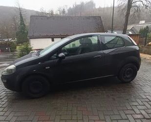 Fiat Punto Evo Gebrauchtwagen