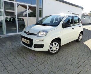 Fiat Panda Gebrauchtwagen