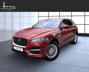 Jaguar F-Pace Gebrauchtwagen