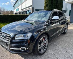 Audi SQ5 Gebrauchtwagen