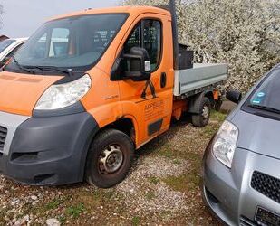 Fiat Ducato Gebrauchtwagen