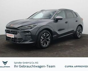 Cupra Terramar Gebrauchtwagen