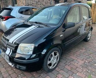 Fiat Panda Gebrauchtwagen
