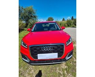 Audi Q2 Gebrauchtwagen