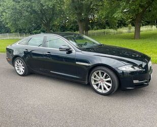Jaguar XJ Gebrauchtwagen