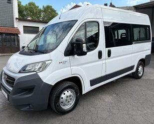 Fiat Ducato Gebrauchtwagen