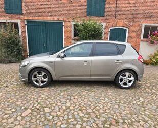 Kia ceed / Ceed Gebrauchtwagen