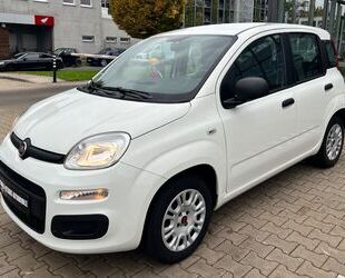 Fiat Panda Gebrauchtwagen