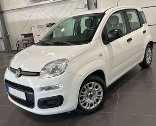 Fiat Panda Gebrauchtwagen