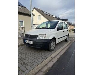 Fiat Panda Gebrauchtwagen